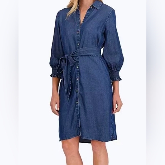 Spring Denim Dress - Picture 2 of 2